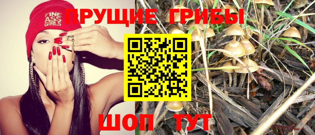 Псилоцибиновые грибы ЛСД Кунгур