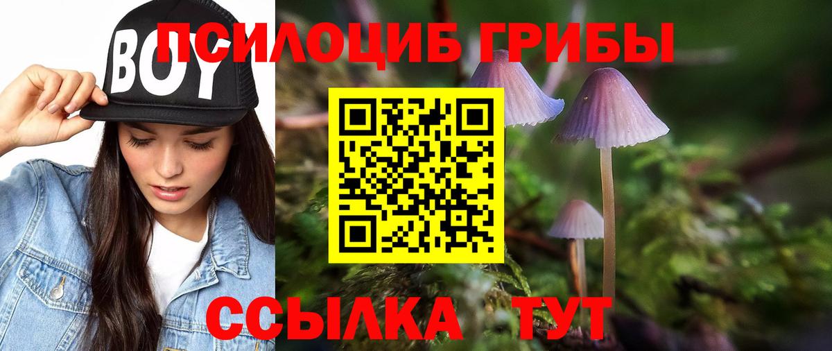 Кунгур  Псилоцибиновые грибы мухоморы  что такое наркотик  Вход с VPN 